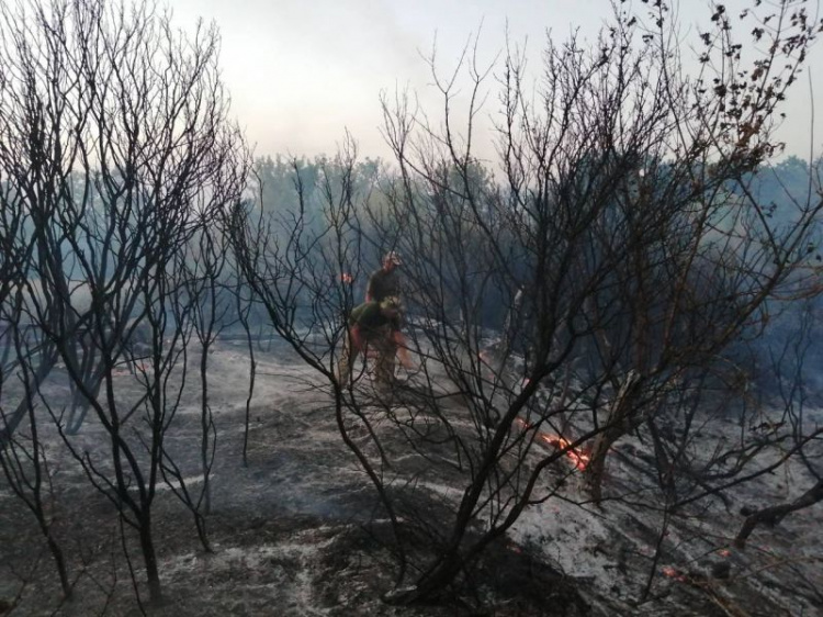 Горит 950 гектаров: причиной масштабных пожаров в Донбассе стал поджог