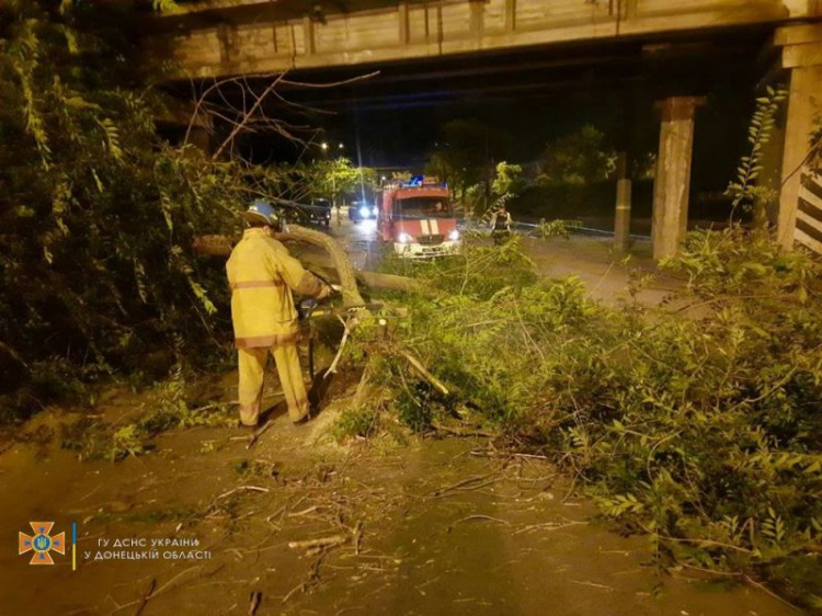 В Мариуполе аварийное дерево блокировало проезд