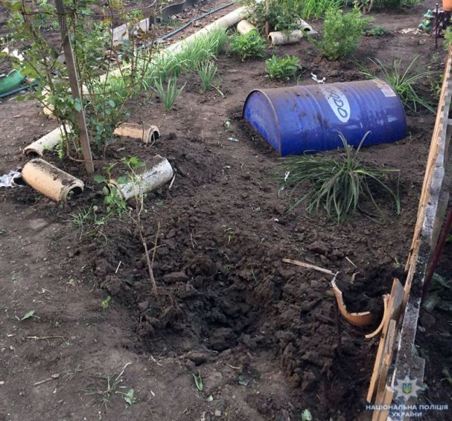 В Донецкой области женщина на огороде нашла смертельный пакет (ФОТО)
