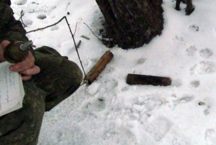 Вблизи Славянского блокпоста правоохранители нашли гранаты и взрыватели