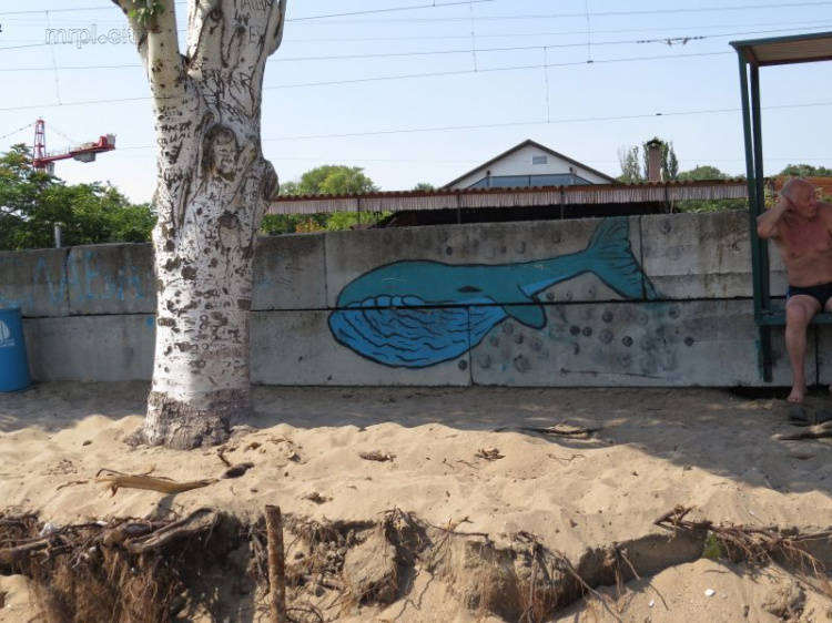 На пляже Мариуполя обнаружен синий кит (ФОТОФАКТ)