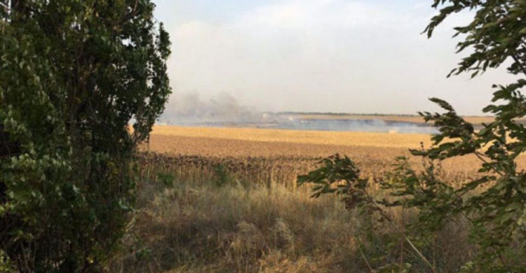 Цицак: причина взрыва склада боеприпасов под Мариуполем – поджог травы