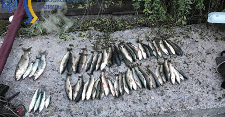 В Мариуполе два браконьера нанесли убытки на 169 тысяч гривен
