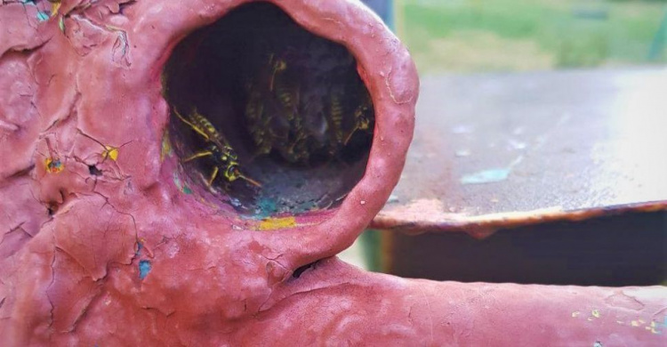 В Мариуполе осы испугали детей