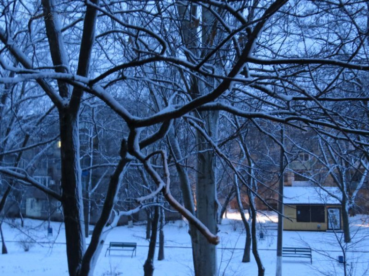 Мариуполь преобразился в новогоднюю сказку, укрывшись снегом (ФОТОФАКТ+ВИДЕО) 