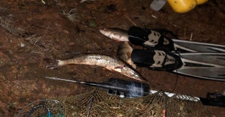 В Мариупольском районе браконьер с аквалангом нанес ущерб почти на 400 тысяч гривен