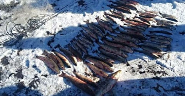 На реке в Мариуполе поймали браконьера с уловом на 42 тысячи гривен