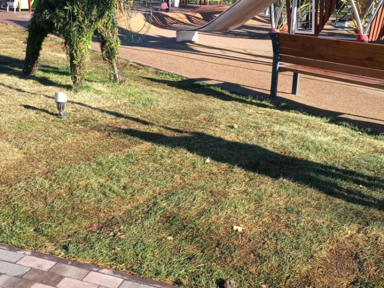 Детей не остановить: новый газон в центре Мариуполя уже успели вытоптать (ФОТО)