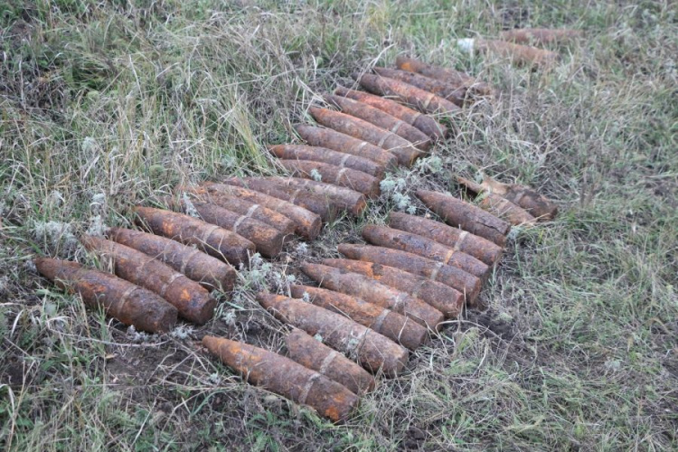 В Донецкой области вблизи жилых домов изъяли более тысячи боеприпасов времен Второй мировой (ФОТО)