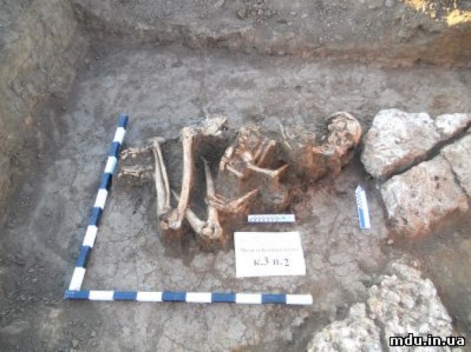 Мариупольские студенты раскопали останки древнего великана