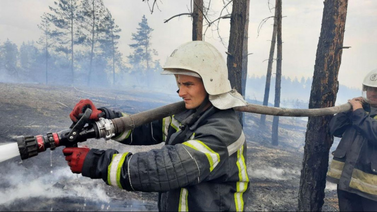 Пожаром в Донбассе охвачено более 20 тысяч гектаров: пять очагов уже локализованы