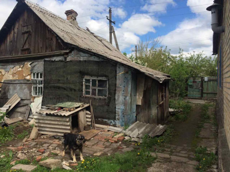 В Донецкой области в траве нашли 6-месячного ребенка
