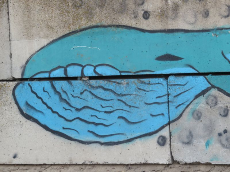 На пляже Мариуполя обнаружен синий кит (ФОТОФАКТ)