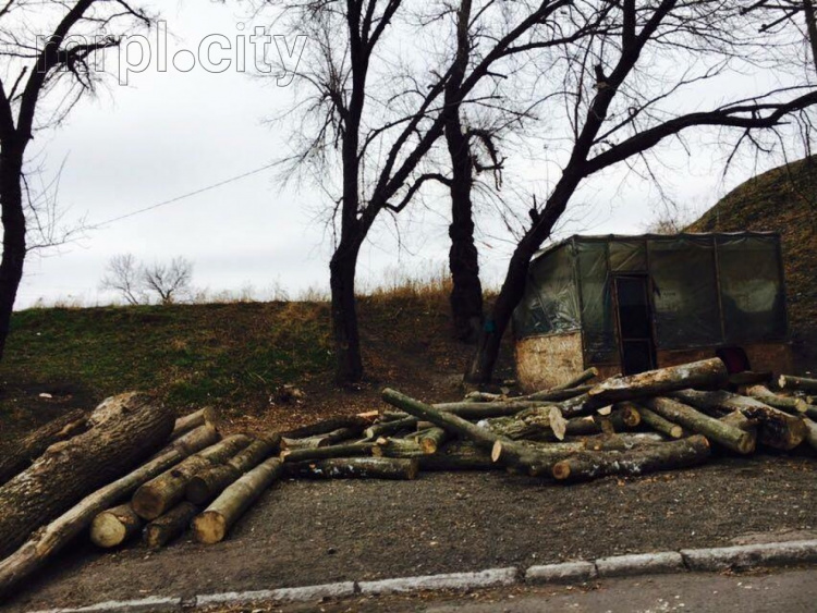 На блокпостах Мариуполя таинственно исчезли модули с удобствами - Саакашвили (ФОТО)