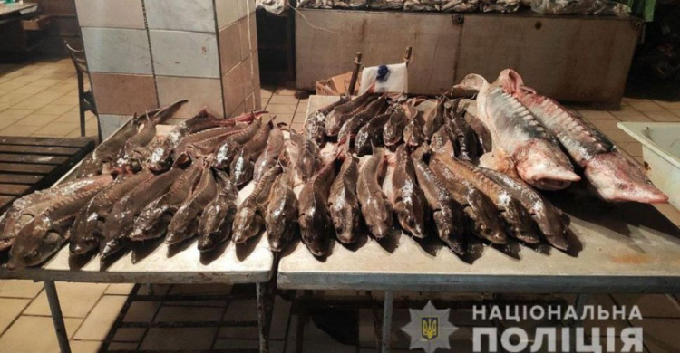Под Мариуполем мужчина незаконно ловил рыбу и продавал в местном магазине
