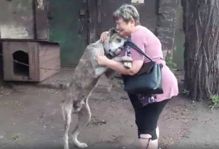 Со слезами на глазах: в Мариуполе женщина встретилась с любимым псом, которого выкрали два года назад (ВИДЕО)