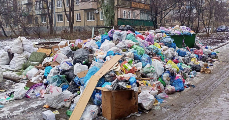 Руський мир прийшов: потопаючий у смітті Донецьк атакують щурі