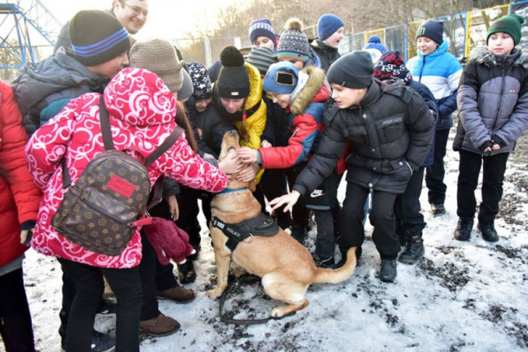 Мариупольские школьники пообщались на немецком с полицейскими собаками (ФОТО)