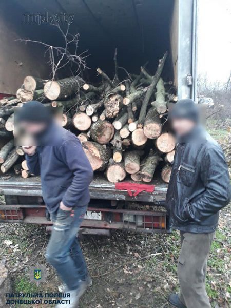 Поймали на горячем: мариупольцев задержали за вырубку деревьев (ФОТО)