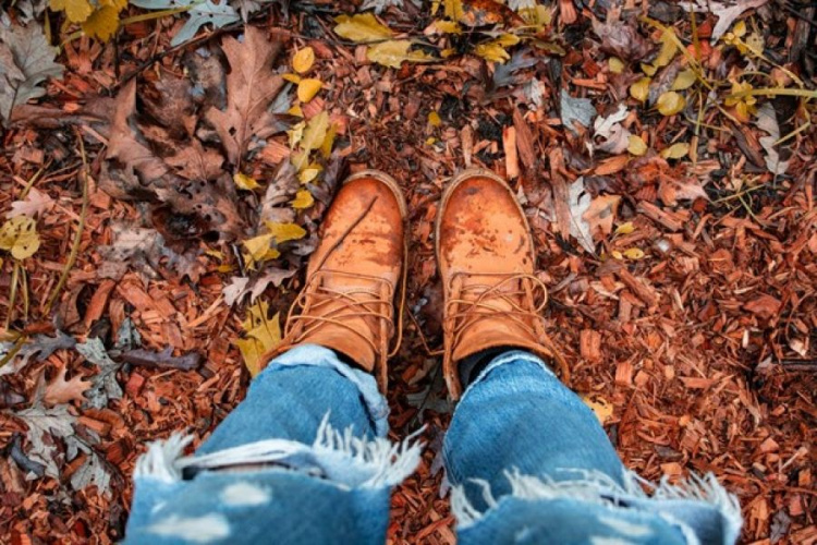 Как почистить замшевую обувь от грязи: 4 бесценных совета