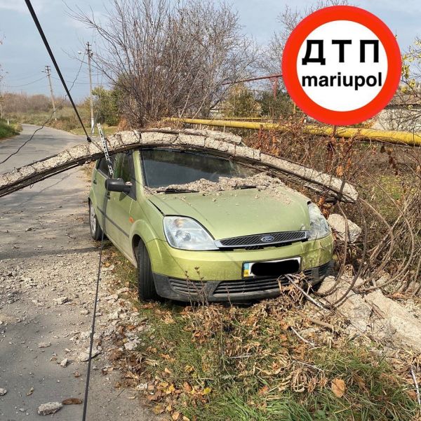 Мариупольский автомобилист рисковал жизнью ради спасения собаки