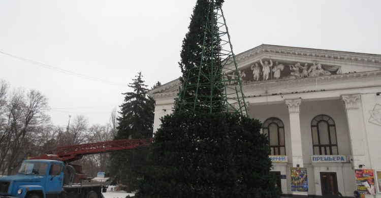 Мариупольская елка у театра попала в рейтинг самых маленьких в Украине (ФОТО)