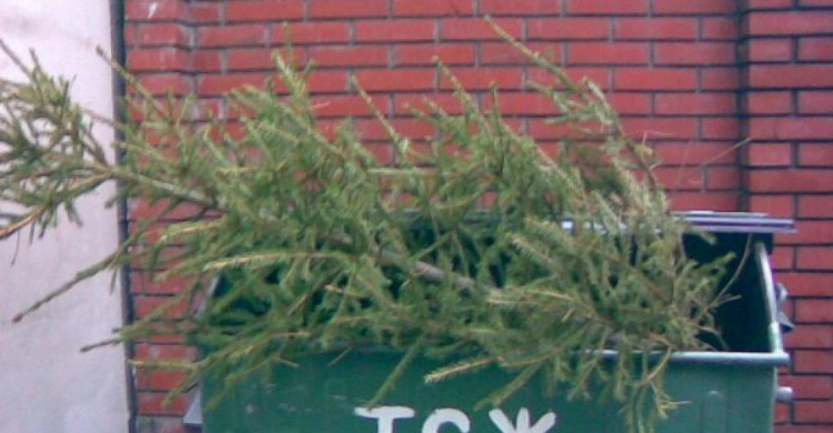 Мариупольцы не расстаются с новогодними елками до апреля (ФОТО)