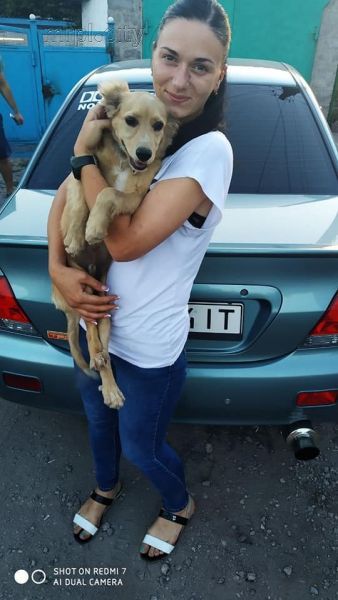 Мариупольские патрульные перекрыли движение транспорта, чтобы спасти щенка (ФОТО)