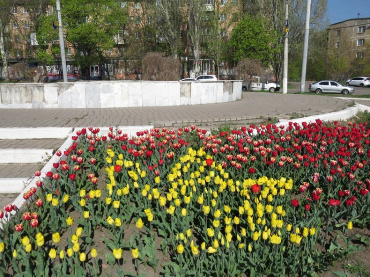 На площади в Мариуполе расцвели большие желтые звезды, активизировав вандалов (ФОТОФАКТ)