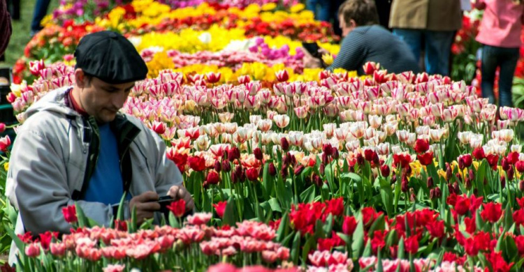 Мариупольская «Веселка» станет местом фестиваля тюльпанов (ФОТО)