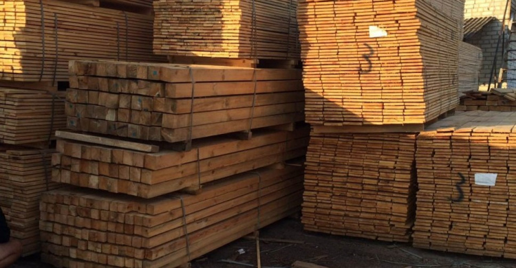 На Донетчине чиновники незаконно продавали государственную древесину