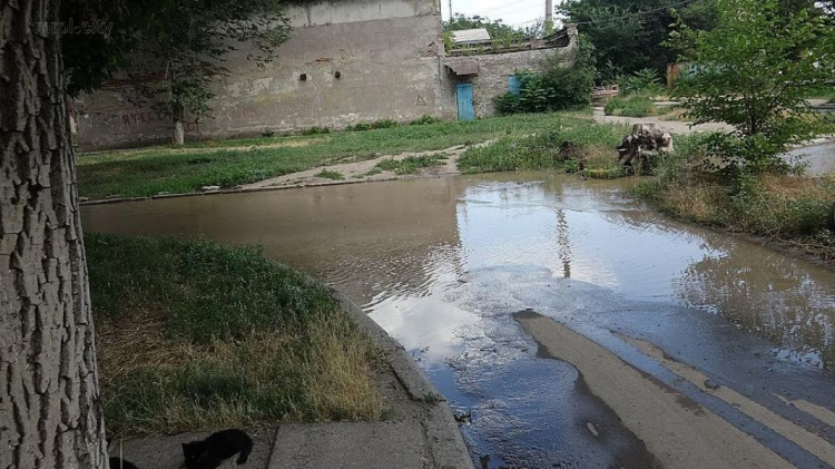 Аварийный порыв водопровода в Мариуполе: вода заливает двор многоэтажки (ФОТОФАКТ)