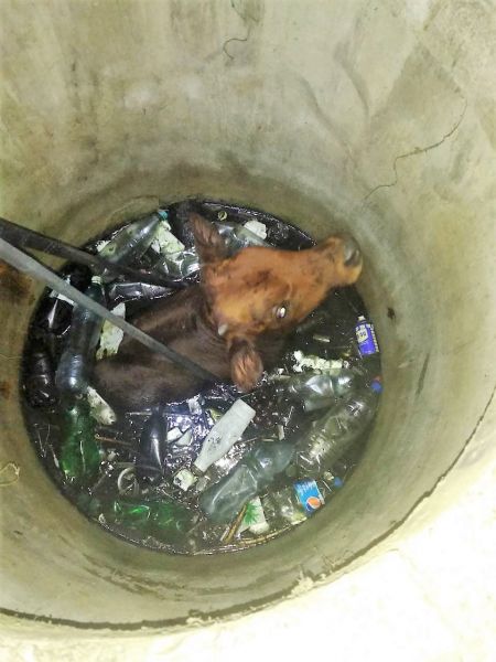 Подземные ловушки: на Донетчине - очередная жертва открытого люка (ФОТО)