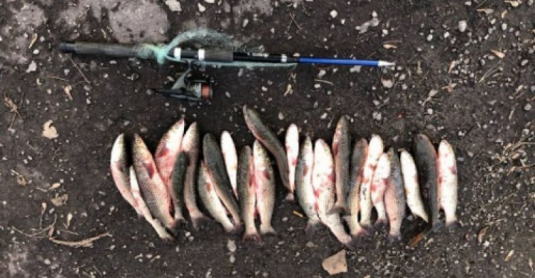Мариупольские браконьеры наловили рыбы на 31 тысячу гривен