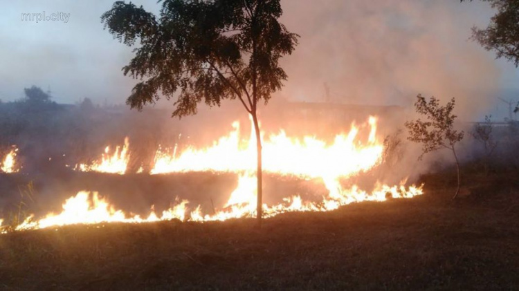 На Донетчине пожары за сутки уничтожили 2 га лесной подстилки и 22 га сухой травы (ФОТО)