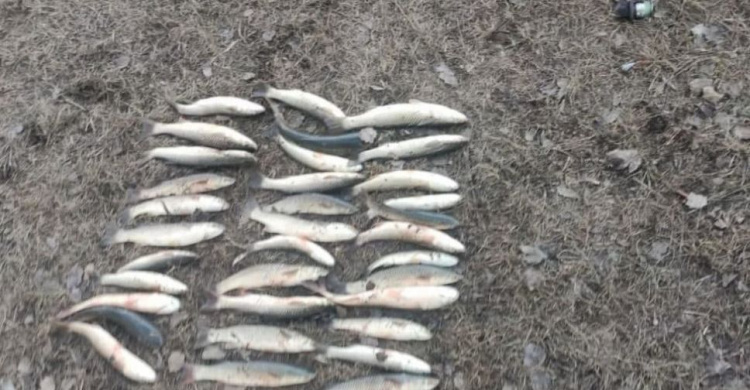В Мариуполе на реке браконьер наловил рыбы на 23 тысячи гривен