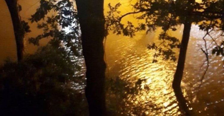 «Ливневый апокалипсис»: в Мариуполе снова повалены деревья, затоплены и обесточены улицы
