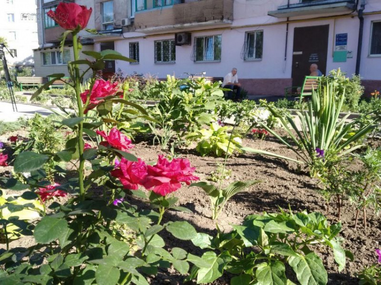 Мариупольцы превратили двор в миниатюрную Греческую площадь с «мальдивскими» песками (ФОТО)