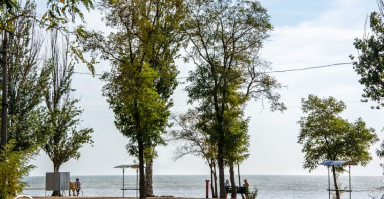 «Сосновый бор» и зона для пикников: как преобразится Левобережная набережная в Мариуполе?