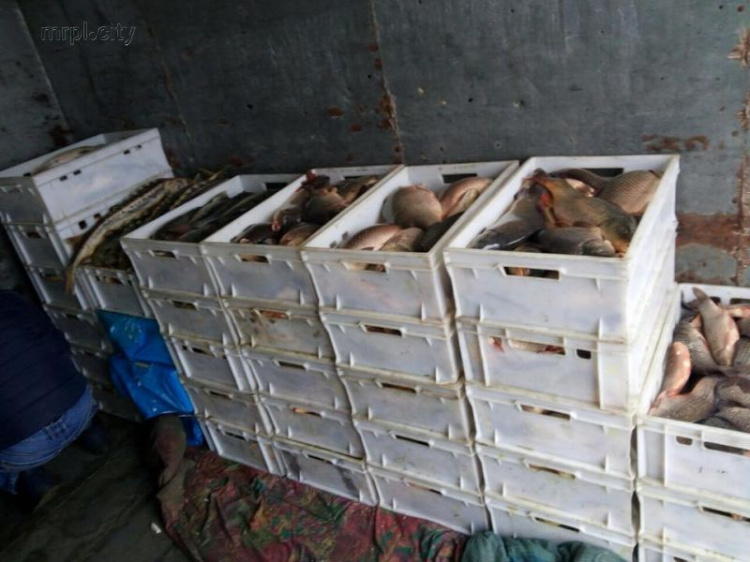 На КПВВ под Мариуполем задержали рыбную контрабанду (ФОТО)