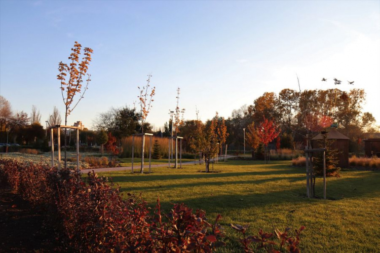 Мариупольская осень в Юбилейном парке имени Гурова (ФОТОРЕПОРТАЖ)