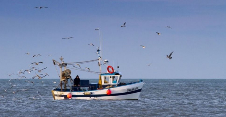ФСБ задержала в Азовском море рыбаков с оккупированного Приазовья