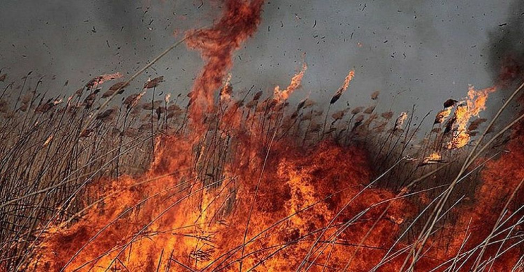Чрезвычайный уровень пожарной опасности объявлен в Мариуполе