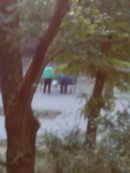 Старики-разбойники взяты с поличным в Мариуполе по «розовому» делу (ФОТО)