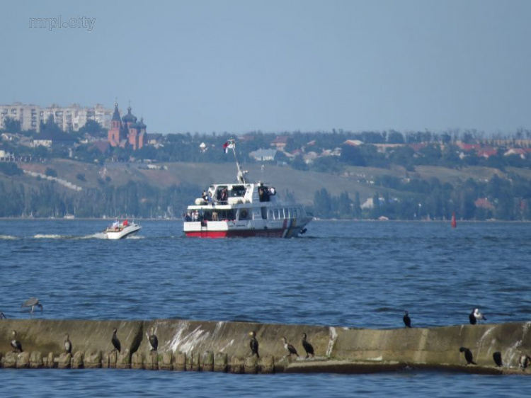 Зеленский в Мариуполе: в сети появилось видео спецоперации освобождения «захваченного» судна (ФОТО+ВИДЕО)
