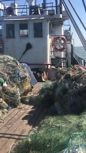 В сетях браконьеров в Азовском море обнаружили рыбы почти на миллион гривен (ФОТО+ВИДЕО)