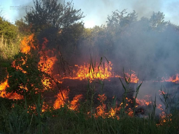 У Мариуполя бушевало несколько пожаров (ФОТО)