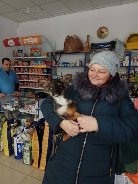 «Хочу домой»: мариупольцы находят приют бездомным животным (ФОТО)