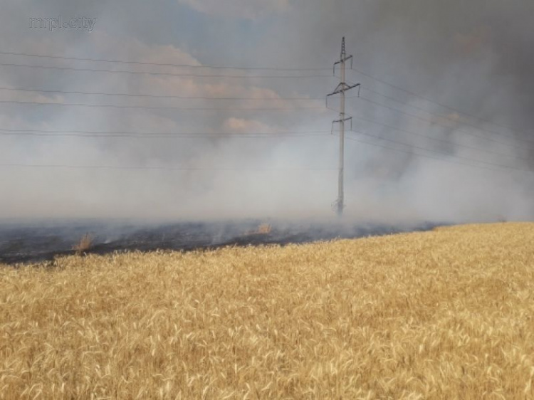 В Мариуполе масштабный пожар около торгового центра уничтожил тонны пшеницы (ФОТО)