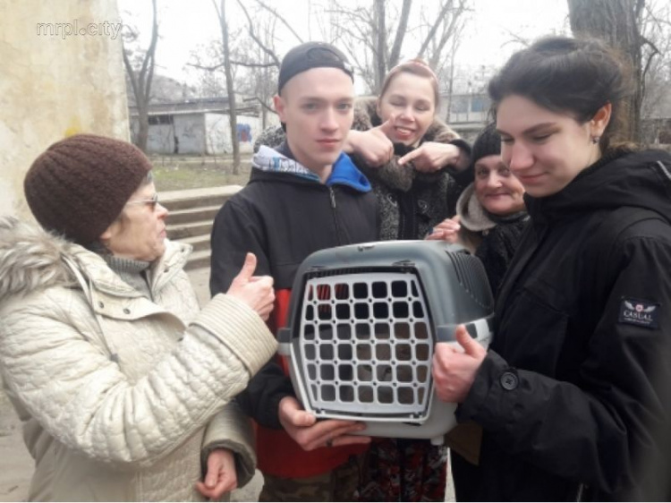 В Мариуполе спасали кота-экстремала (ФОТО+ВИДЕО)